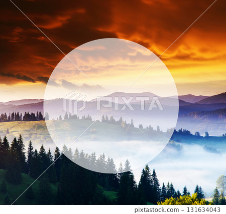 Summer landscape in mountains 131634043