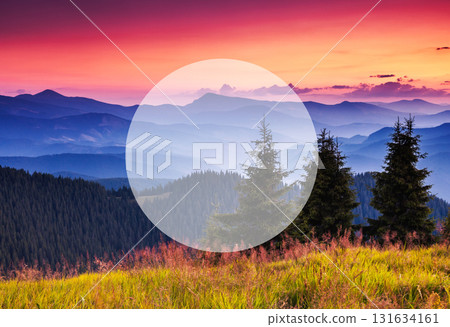 Summer landscape in mountains 131634161