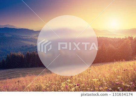 Summer landscape in mountains 131634174