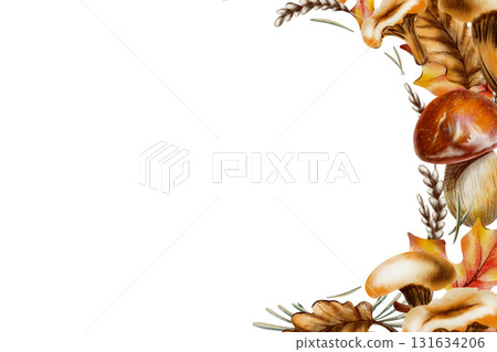 Mushrooms,maple and oak foliage,wheat sprigs and pine needles in a cemi-circular template.Hand drawn wildlife illustration for decorating cards isolated on transparent background Mushrooms,maple and oak foliage,wheat sprigs and pine needles in a cemi-circular template.Hand drawn wildlife illustration for decorating cards isolated on transparent background 131634206