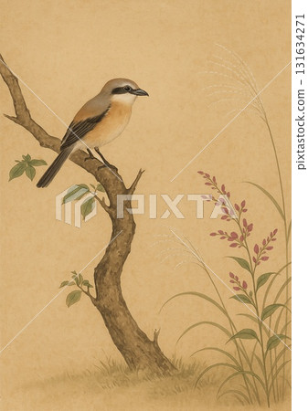 伯勞的秋枝 131634271