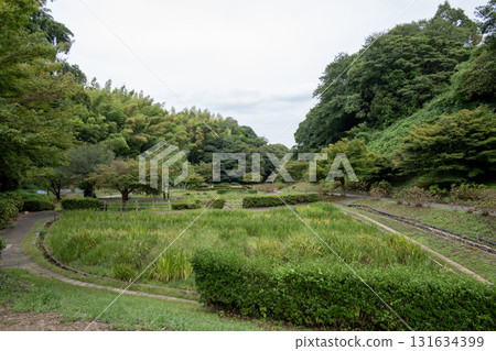 Ise Kameyama Castle moat remains 131634399