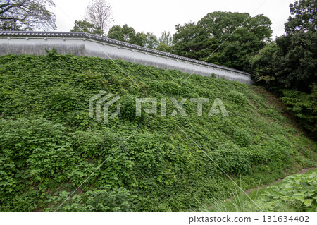 伊勢龜山城：二之丸城牆與修復的土牆 131634402