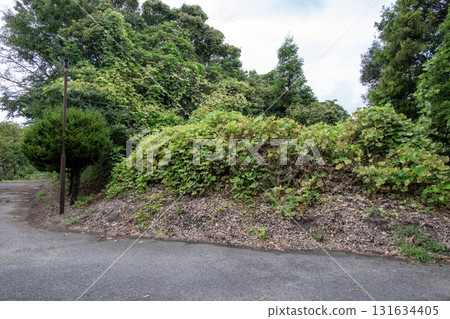 伊勢龜山城：西出丸遺址的土方工程 131634405