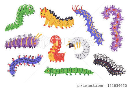 Vector set of illustrations with colorful caterpillars, different shapes and types. Vector set of illustrations with colorful caterpillars, different shapes and types. 131634650