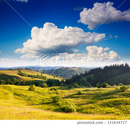 Summer landscape in mountains 131634727