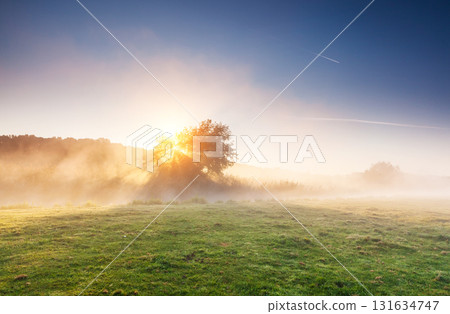 the foggy morning 131634747