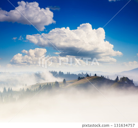 Summer landscape in mountains Summer landscape in mountains 131634757