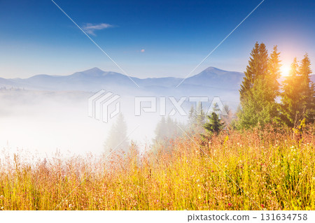 magical green hills magical green hills 131634758