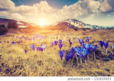 magical mountains landscape magical mountains landscape 131634935