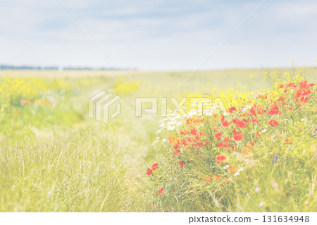 Beautiful countryside landscape Beautiful countryside landscape 131634948