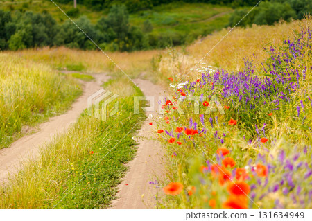 Beautiful countryside landscape Beautiful countryside landscape 131634949