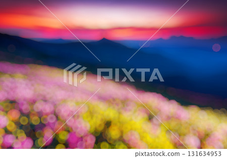 Natural blurred background Natural blurred background 131634953