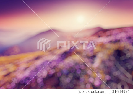 Natural blurred background 131634955