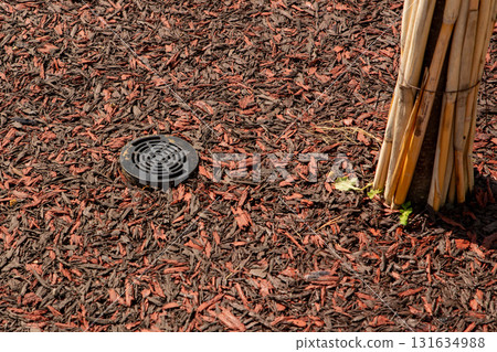 Root irrigation system. plastic lid of irrigation system on Rubber mulch imitating wood chips coating. trunk of a young tree Root irrigation system. plastic lid of irrigation system on Rubber mulch imitating wood chips coating. trunk of a young tree 131634988