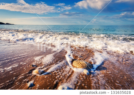 sea and wave 131635028