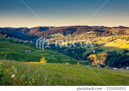 Beautiful countryside landscape 131635033