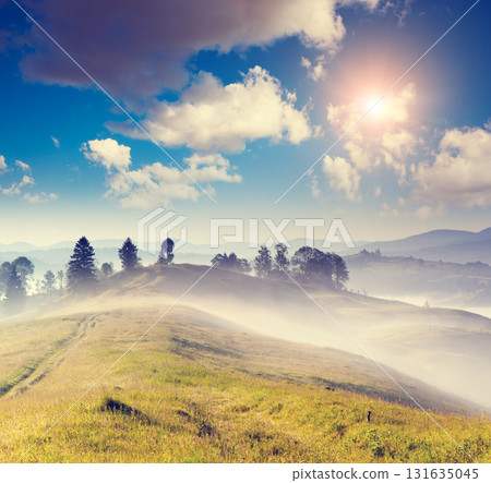 Summer landscape in mountains 131635045