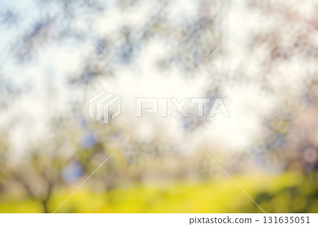 Natural blurred background Natural blurred background 131635051
