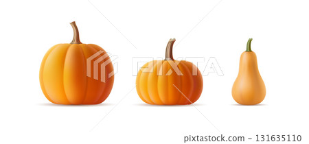 Vector set of 3D realistic pumpkins of various shapes and varieties on an isolated background. Volumetric squash, gourd template with shadow for Halloween party banner. Autumn vegetable illustration 131635110
