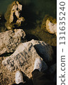 First-person view: person standing on large rocks by tranquil body of water, wearing white sneakers and black pants, soaking in the vibrant outdoor scenery on bright, sunny day. Men legs in sneakers 131635240