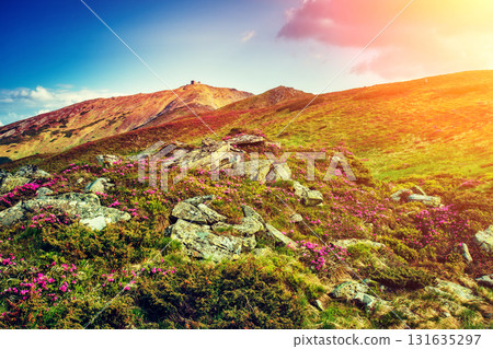 mountains landscape at sunset mountains landscape at sunset 131635297