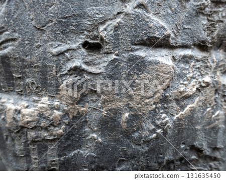 灰階石膏牆紋理 131635450