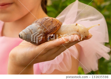 1.5 year old Achatina fulica albino body. Giant African snail on palm. Child holds large snail in hand while wearing a pink costume in outdoor setting 131635598