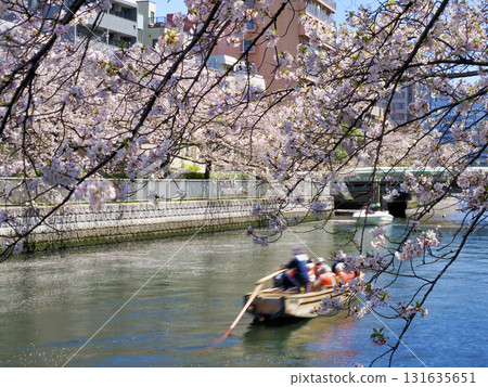 大橫川沿岸的櫻花(東京都江東區) 大橫川沿岸的櫻花(東京都江東區) 131635651