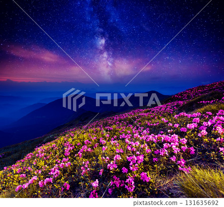 starry night in mountain 131635692