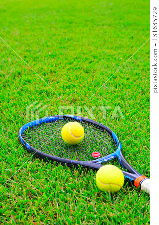 草地上的網球 131635729