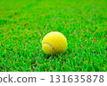 球在草地上滾動 131635878