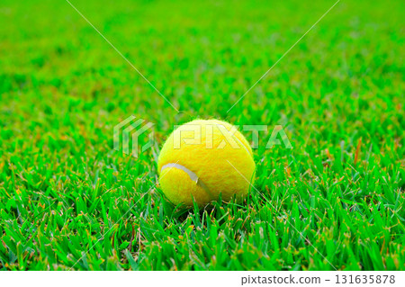 球在草地上滾動 131635878