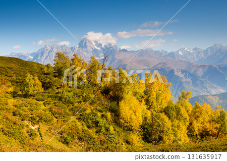 beautiful autumn landscape beautiful autumn landscape 131635917