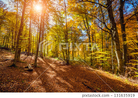 Majestic autumn landscape Majestic autumn landscape 131635919