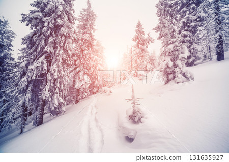 Fantastic wintry landscape 131635927