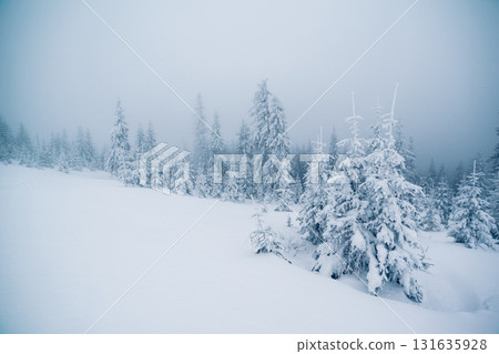 beautiful wintry landscape beautiful wintry landscape 131635928