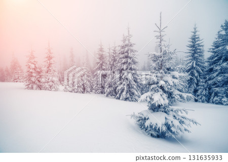 Fantastic wintry landscape 131635933