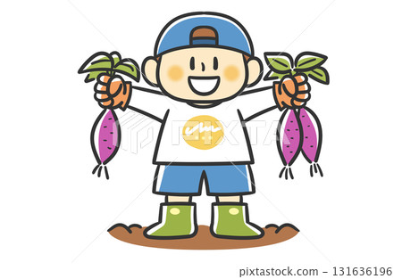 一個戴著帽子的男孩正在收割地瓜 一個戴著帽子的男孩正在收割地瓜 131636196