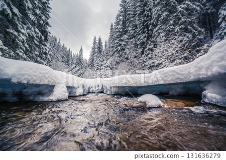 winter river at forest 131636279