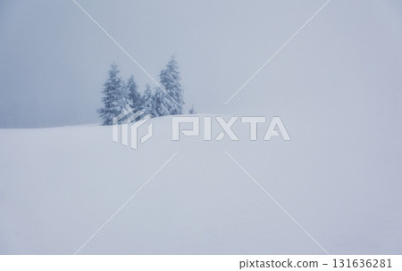beautiful wintry landscape 131636281