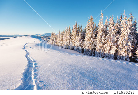 Fantastic wintry landscape 131636285