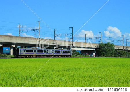 盛夏的東北本線，夏日的天空，耀眼的綠色稻米。 131636318