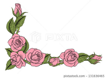 Rose Flower Illustration Vintage Border Band Rose Flower Illustration Vintage Border Band 131636465