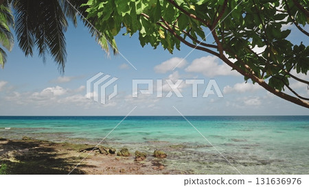 Palm trees and tropical vegetation framing a seascape with turquoise water, rocks, and white clouds in a sunny day create a perfect vacation spot. Travel background, idyllic exotic paradise. Static Palm trees and tropical vegetation framing a seascape with turquoise water, rocks, and white clouds in a sunny day create a perfect vacation spot. Travel background, idyllic exotic paradise. Static 131636976