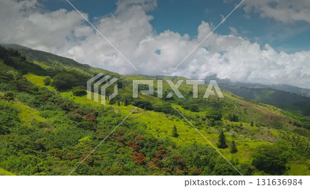 Aerial drone view showcasing the vibrant, verdant landscape of Tahiti, with lush vegetation covering rolling hills under a dynamic sky filled with clouds 131636984
