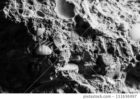 The gray texture of the stone contains small fragments of shells The gray texture of the stone contains small fragments of shells 131636997
