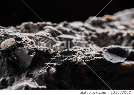 Stone texture with inclusions of shells Stone texture with inclusions of shells 131637007