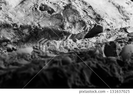 The stone structure is formed of thin lines and pores The stone structure is formed of thin lines and pores 131637025