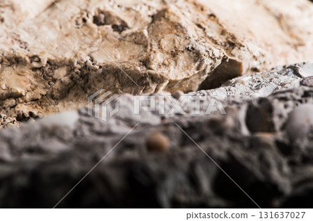The stone structure is formed of thin lines and pores The stone structure is formed of thin lines and pores 131637027